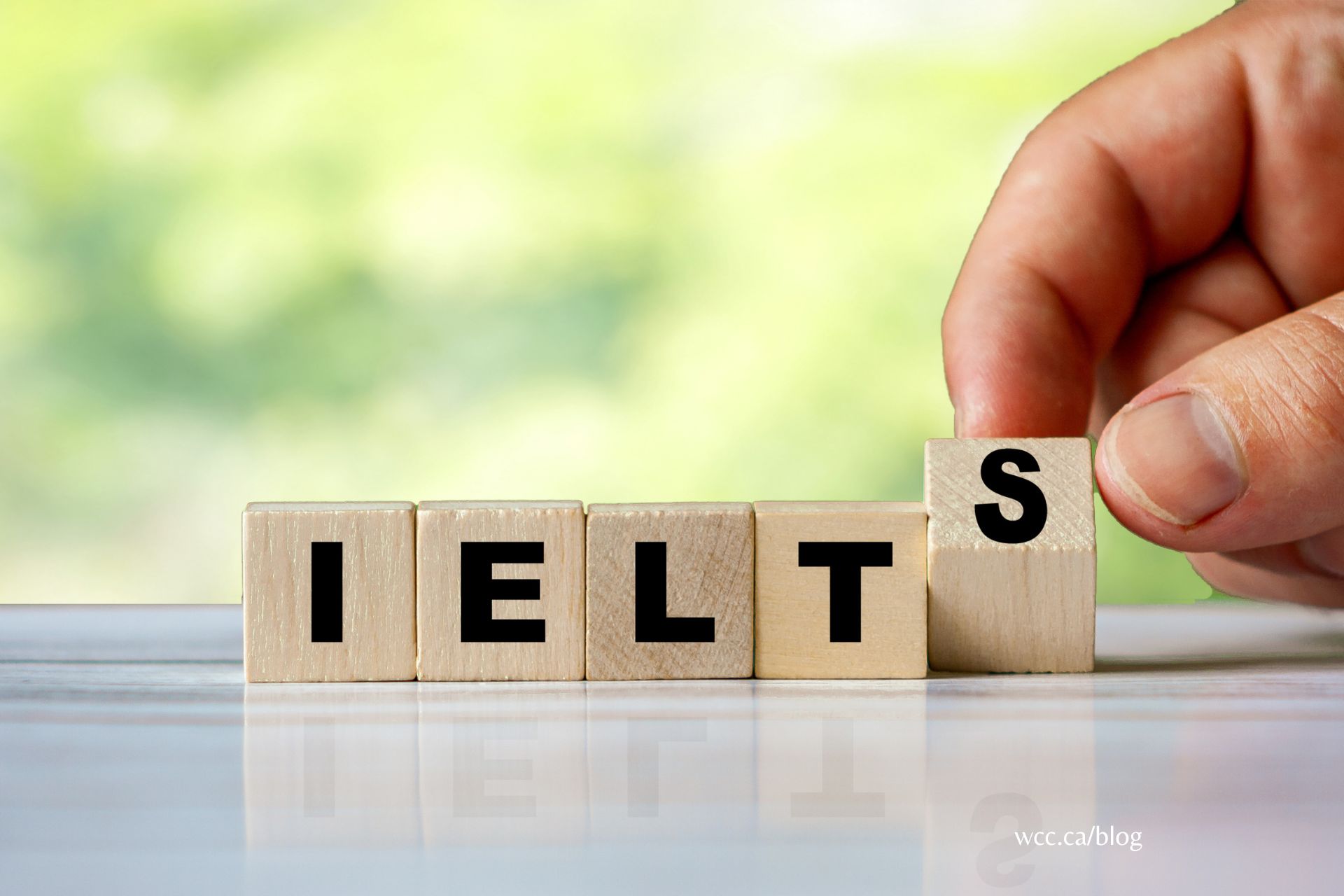 wcc blog how long you should prepare for ielts
